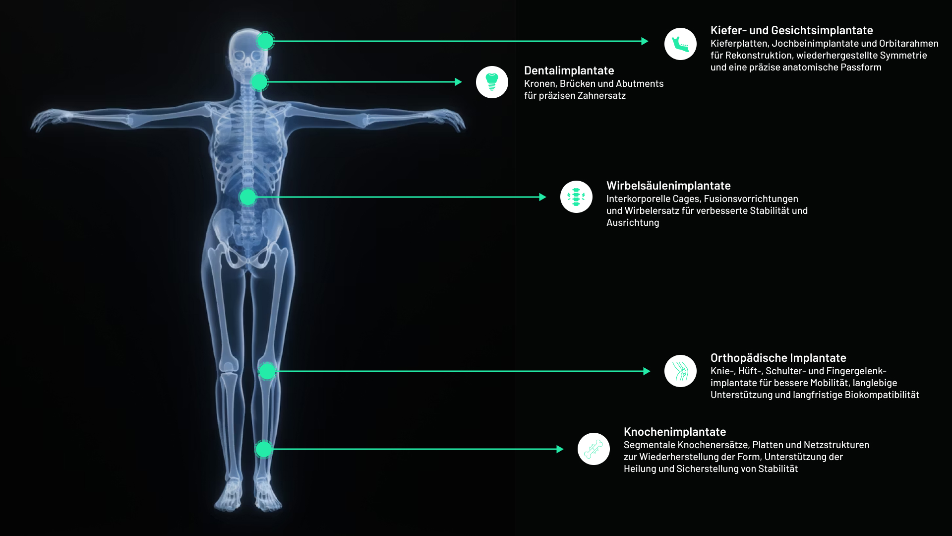 Grafik zur Veranschaulichung der wichtigsten medizinischen Anwendungsbereiche von Titanimplantaten, einschließlich Zahn-, Orthopädie-, Schädel- und Wirbelsäulenimplantaten