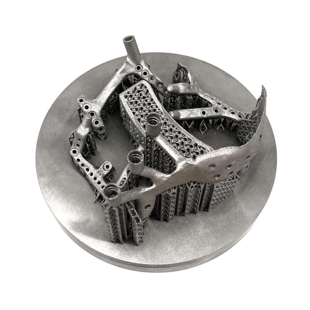 3D printed medical implant (Titanium) by 2onelab