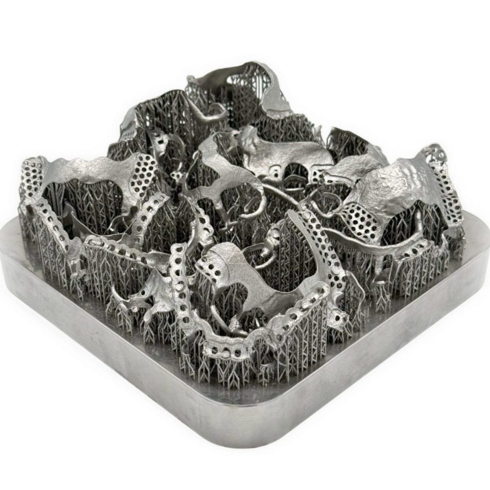 3D printed partials (CoCr) by 2onelab