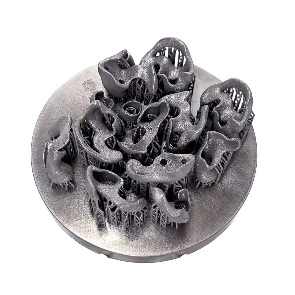 3D printed hearing aids (Titanium) by 2onelab