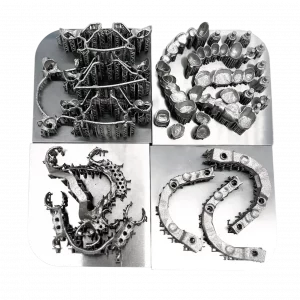 3D printed dental models (CoCr) by 2onelab