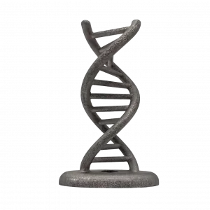 2onelab-applications-helix-stainless-steel-316L